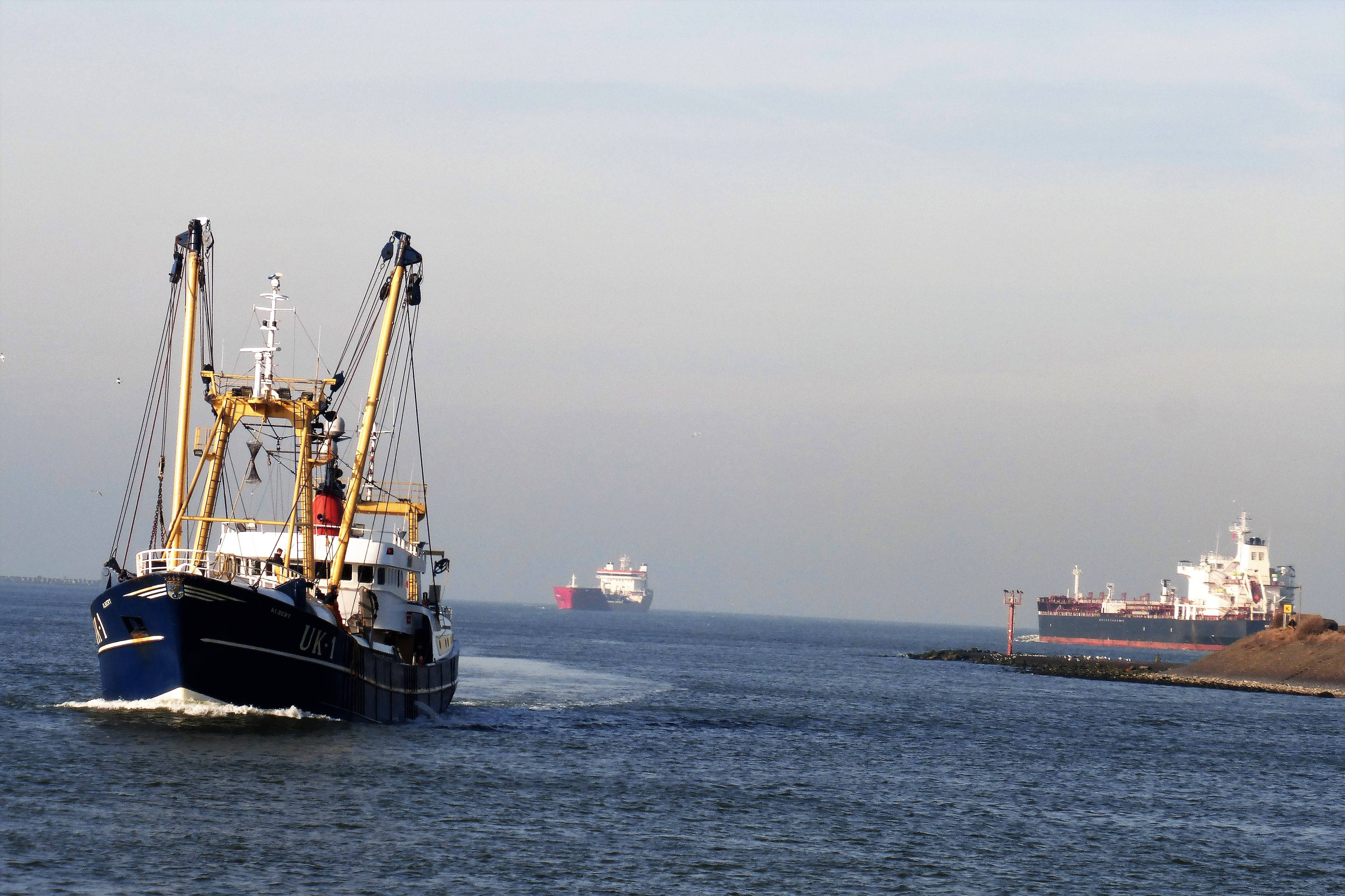 Pieren IJmuiden   16-02-19 